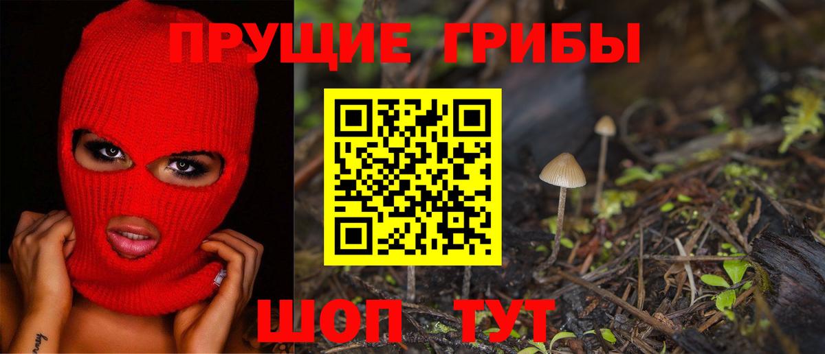 Псилоцибиновые грибы GOLDEN TEACHER  Вход с VPN  Рославль  как найти закладки  Псилоцибиновые грибы Cubensis 